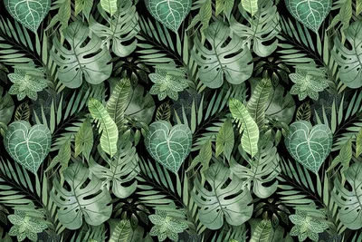 Фотообои «Тропики» на стену с изображением листьев