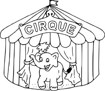 Волшебный мир» цирка – глазами детей