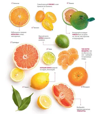 Разные виды цитрусовых фруктов Стоковое Изображение - изображение  насчитывающей витамин, известка: 35849105