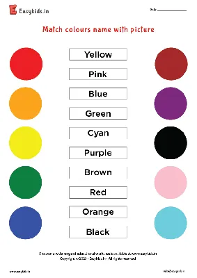 Colours Chart For Preschoolers | Basic colors name, Colours name for kids,  Color activities kindergarten