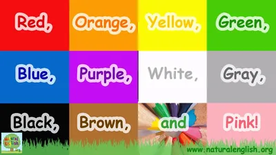 Learn English Vocabulary: Colours/ Colors - ESLBUZZ