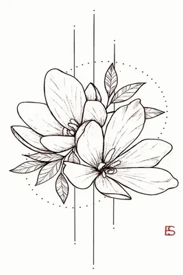 Рисунки цветов для срисовки цветные пышные простые и красивые (30 шт)