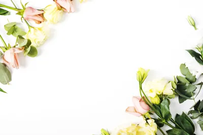 Картинка Букеты Розы Цветы вазы белом фоне