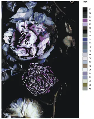 Цветы на черном фоне (58 фото)