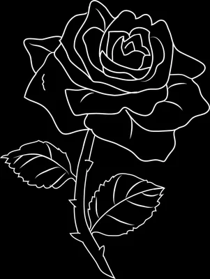Картина на стекле \" Букет цветов на черном фоне\" (ID#781206417), цена: 609  ₴, купить на Prom.ua