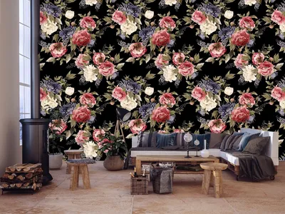 красивые цветы астры, на черном фоне :: Стоковая фотография :: Pixel-Shot  Studio