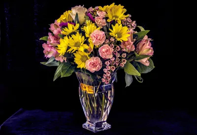 осенние цветы букет осенних цветов на черном фоне крупным планом foto de  Stock | Adobe Stock