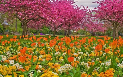 Весна Цветущий сад (58 фото) - 58 фото