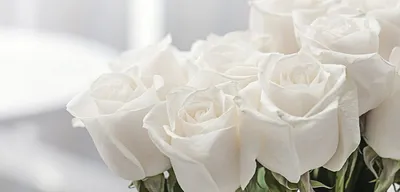 Купить Большой букет из 101 белой розы в крафте R494 в Москве, цена 16 990  руб.