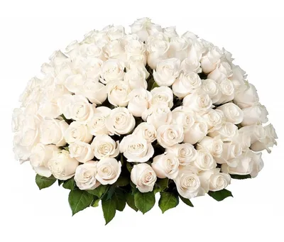 Букет из 15 белых роз \"Утро\"