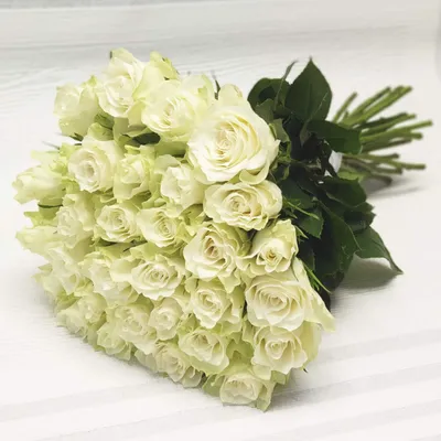 Белые розы Аваланш 60 см поштучно от 75 руб./шт. Купить цветы.