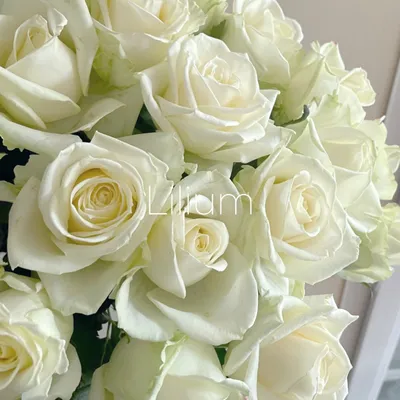 Букет из 11 белых роз 60 см - купить в Москве по цене 2590 р - Magic Flower