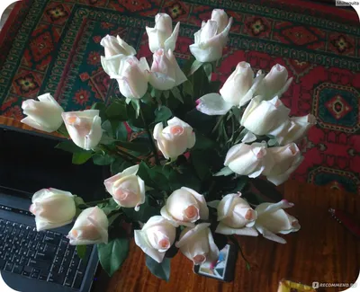 Доставка цветов в Санкт-Петербурге купить недорого на заказ от Цветовик