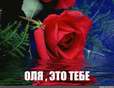 Розы только для тебя - Цветы - Картинки анимация №6022