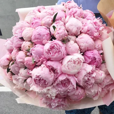 Блог | Какие цветы подарить? 5 альтернатив розам