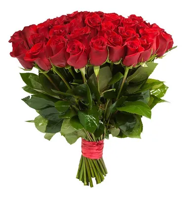 Букет из 15 красных роз Standart купить в Саратове недорого