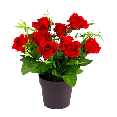 25 красных роз 40 см с эвкалиптом | доставка по Москве и области