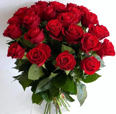 Красные розы | Red roses, Beautiful rose flowers, Flowers bouquet gift