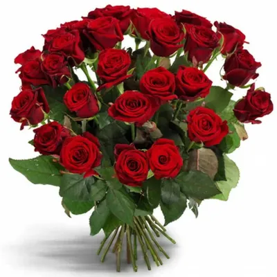 Красные розы в коробке (XL) 101 роза - купить в интернет-магазине Rosa Grand