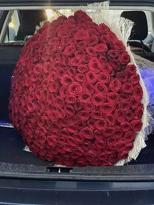 Only Rose — идеальный букет из роз | Купить букет из свежесрезанных красных  роз «Ред Игл»