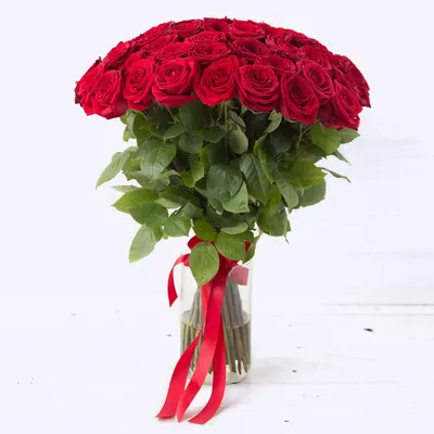 Красные розы | Розы, Красные розы, Цветочные фоны