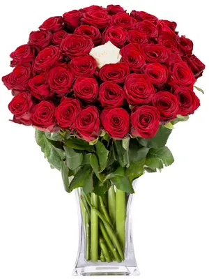 7 романтических цветов, которые выражают истинную любовь - Коммерческие  новости - Калужский перекресток Калуга