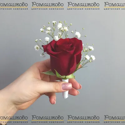 ребенок дарит цветы розы своей матери руки концепция любви Стоковое  Изображение - изображение насчитывающей его, день: 165668731