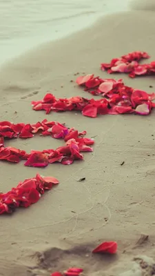 Фото фото любовь, цветы, love image, heart, 5k, beach, sea, flowers, Фото  #14788