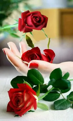 Вы Цветы Жизни и Любви ♥!!! | Александр Антонов | Дзен