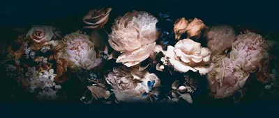 Картинки цветы на черном фоне - 84 фото
