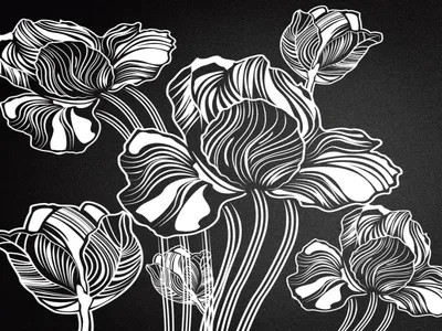 Обалденные цветы на черном фоне (340 фото). Обсуждение на LiveInternet -  Российский Сервис Онлайн-Дневников | Посадка деревьев, Цветы, Тюльпаны