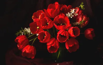 Красивые цветы на черном фоне цветов Стоковое Фото - изображение  насчитывающей бутика, конец: 171451426