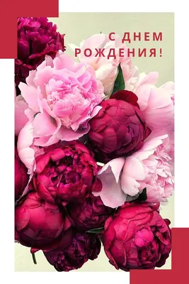 Нежные пионы в сердце за 32 990 руб. | Бесплатная доставка цветов по Москве