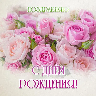 Картинки Цветы Розы С Днем Рождения фотографии