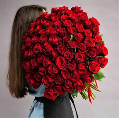 картинки : лепесток, Роза, Красный, день свадьбы, День рождения, букет роз,  Флористика, Расцвел, День Святого Валентина, Любовный символ, я люблю тебя, Цветок  роза, цветущее растение, Садовые розы, Розовая семья, день матери, красные
