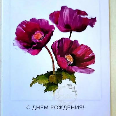 Конверт для денег ДР «С Днем рождения!», цветы, без отделки — Офисная  техника