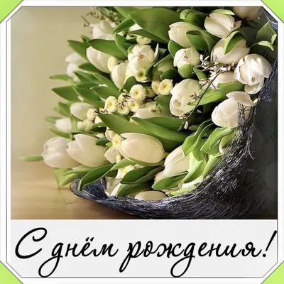 Открытка \"С Днем рождения\" цветы купить в Киеве: цена, заказ, доставка |  Магазин «Камелия»