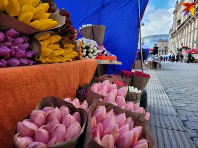 Флористы рассказали, какие цветы мужчины обычно покупают на 8 Марта -  05.03.2020, Sputnik Беларусь