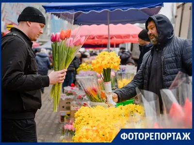Купить тюльпаны в Санкт-Петербурге | Букет тюльпанов к 8 марта