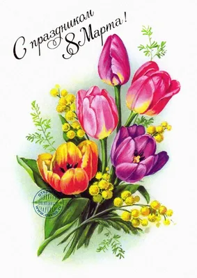 Тюльпаны, розы, гиацинты: сколько москвичи потратят на букет к 8 Марта в  2023 году – Москва 24, 28.02.2023