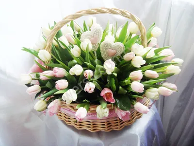 Почему на 8 марта дарят тюльпаны | Цветмаркет VANDA