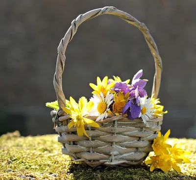 Ищи пихту зимой, а пионы летом: выбираем свадебный букет и цветы для декора  по сезону - eventforme.ru
