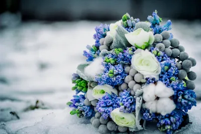 Цветы Зима Снег - Бесплатное фото на Pixabay - Pixabay