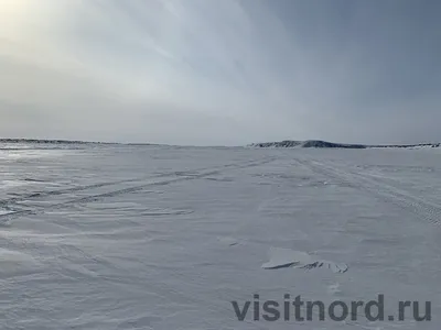 Зимняя тундра на Чукотке, основные правила выживания - visitnord