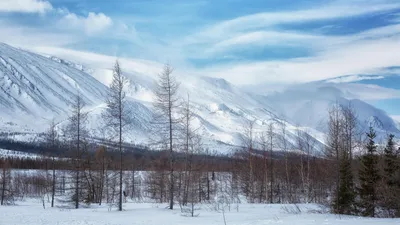 Житель Ямала выжил, четыре дня блуждая по тундре в 40-градусный мороз - РИА  Новости, 12.01.2022