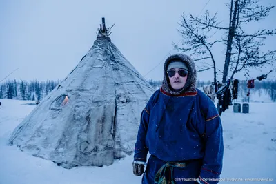 Тундра тундры горы альпийский зимой Стоковое Фото - изображение  насчитывающей гора, зона: 210344526