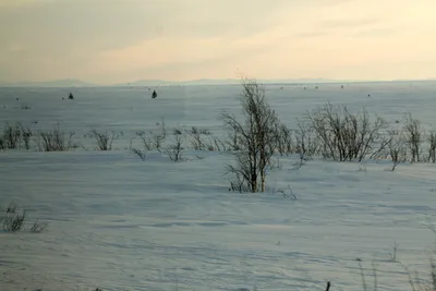Как одеваются оленеводы зимой так, что не мёрзнут даже в -50 °С, и как они  живут посреди тундры | Путешествия с фотокамерой | Дзен