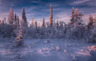 Картинки природа россии север (69 фото) » Картинки и статусы про окружающий  мир вокруг