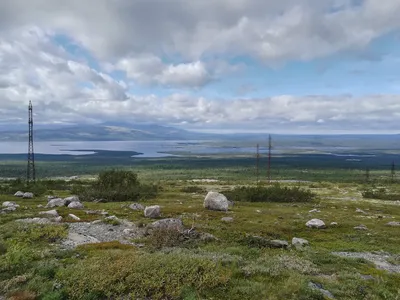 Краски осенней тундры. Фотограф Юхова Аня