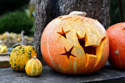 Злая тыква на хэллоуин в лесу в ночь на хэллоуин, иллюстрация на хэллоуин  тыквы на хэллоуин | Премиум Фото